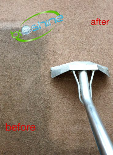 Carpet cleaning Potters Bar