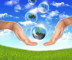 eco friendly cleaning