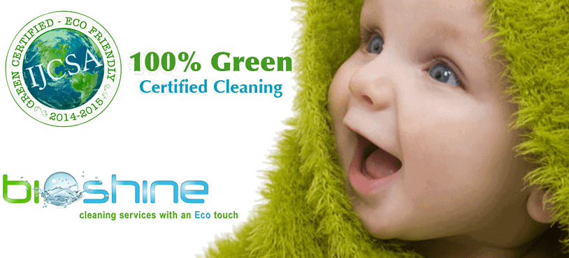 eco friendly Cleaning