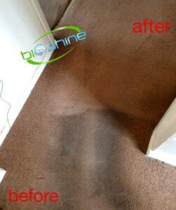 carpet cleaning Enfield